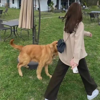 恐怖旅舍